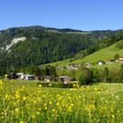 DSC08954.JPG