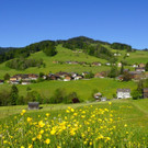 DSC08955.JPG