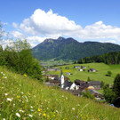 DSC08988.JPG