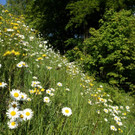DSC08997.JPG