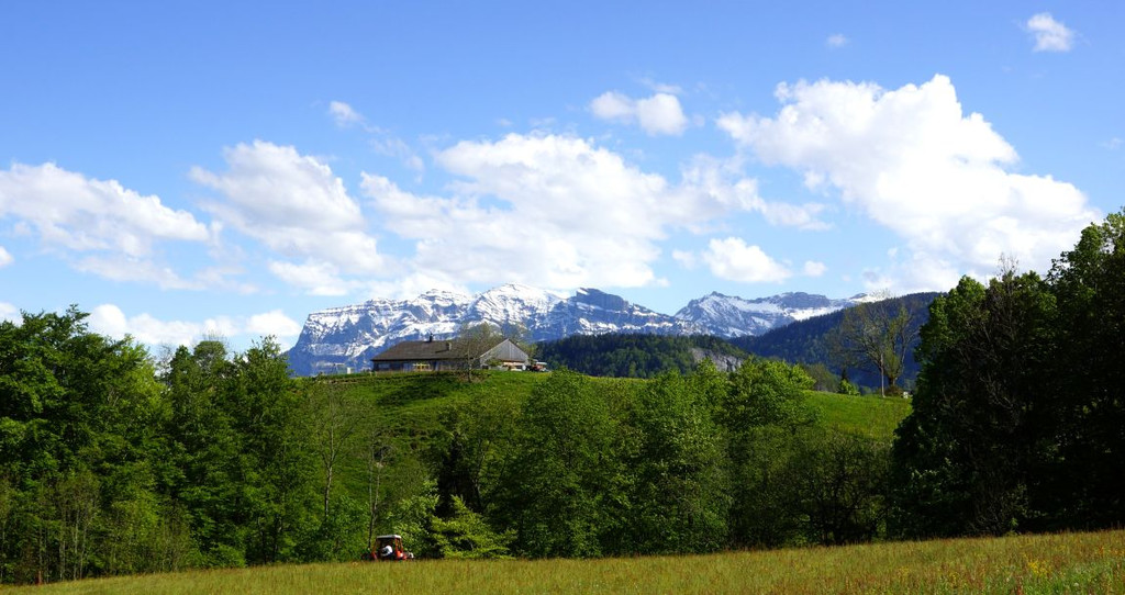 DSC09001.JPG