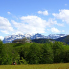 DSC09001.JPG