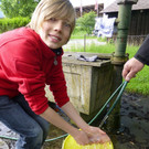 Filet3waschen.jpg