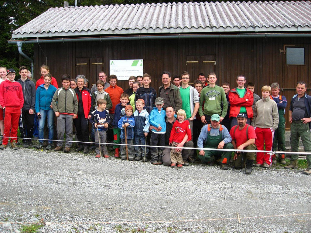 Wald1.jpg