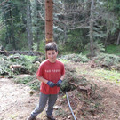 Wald5.jpg