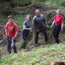 Wald6.jpg