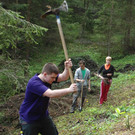 Wald7 _.jpg