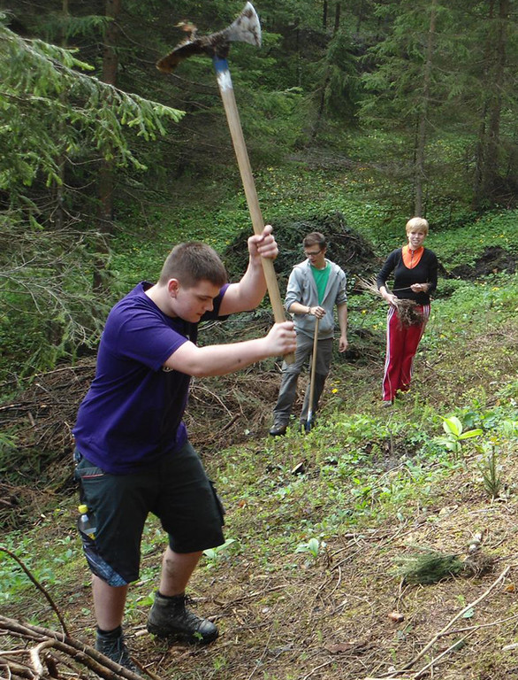 Wald7 _.jpg