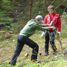 Wald8.jpg