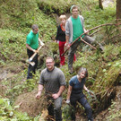 Wald9.jpg