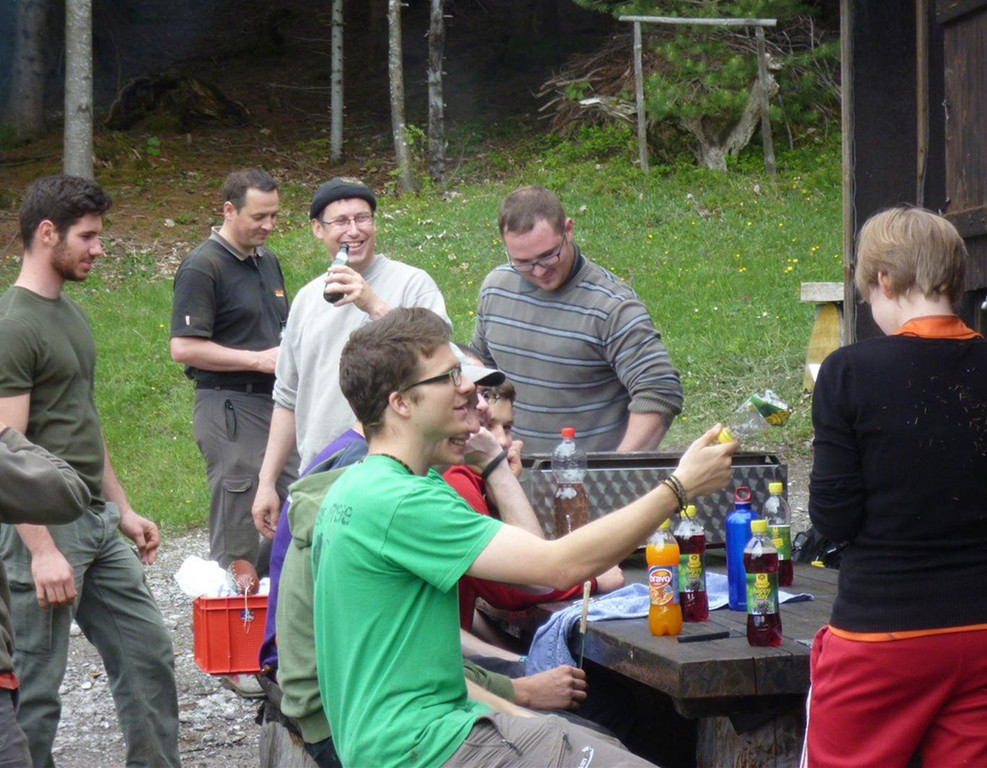 Wald14.jpg