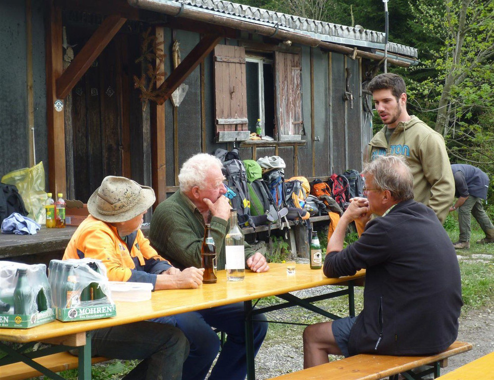 Wald17.jpg