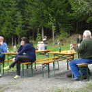 Wald18.jpg
