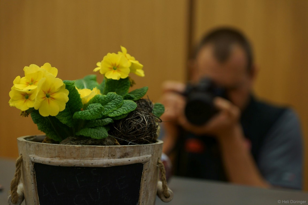 DSC05295 _Medium_.JPG