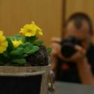 Stimmungsbilder aus der Region