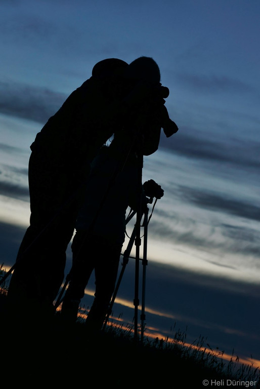 DSC05384 _Medium_.JPG
