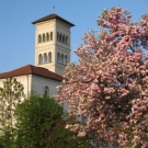 Fr__hling Hochstammkulturen _44_.jpg