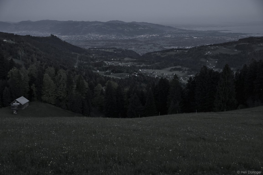 DSC05390 _Medium_.JPG