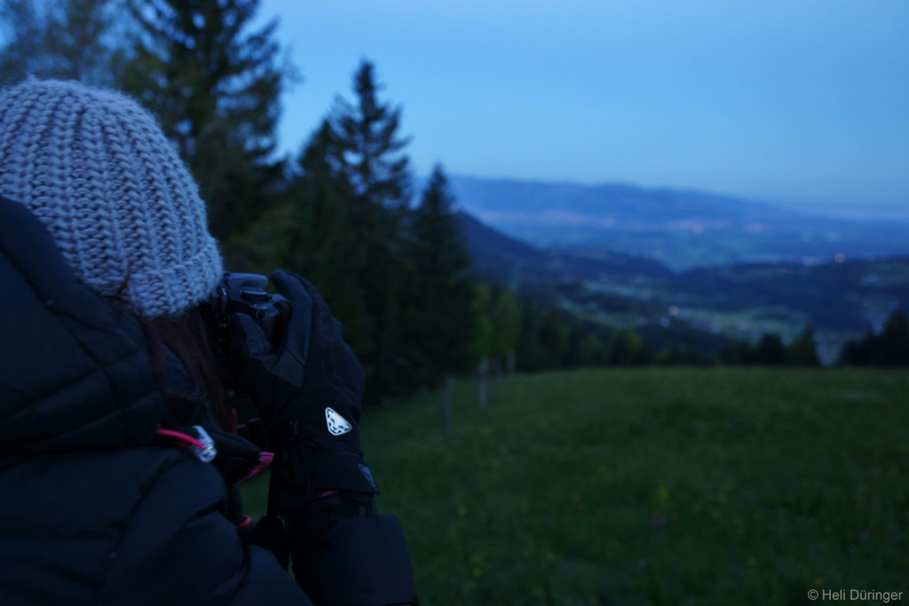 DSC05392 _Medium_.JPG