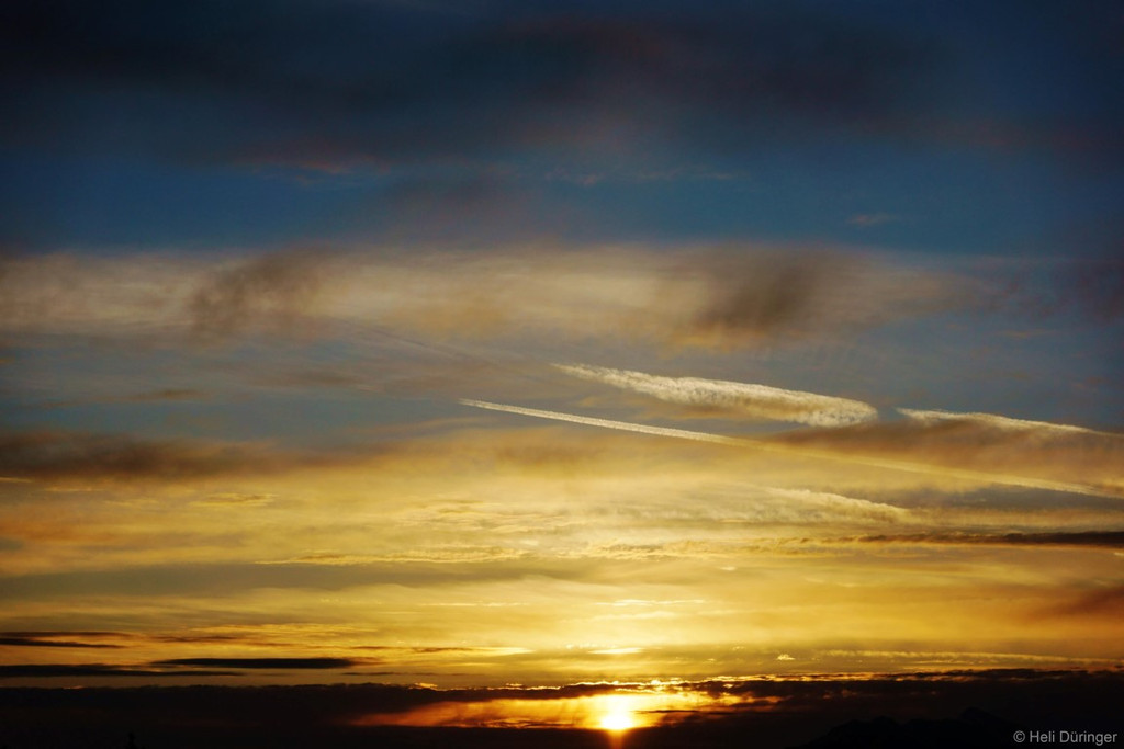 DSC05418 _Medium_.JPG
