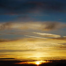 DSC05418 _Medium_.JPG