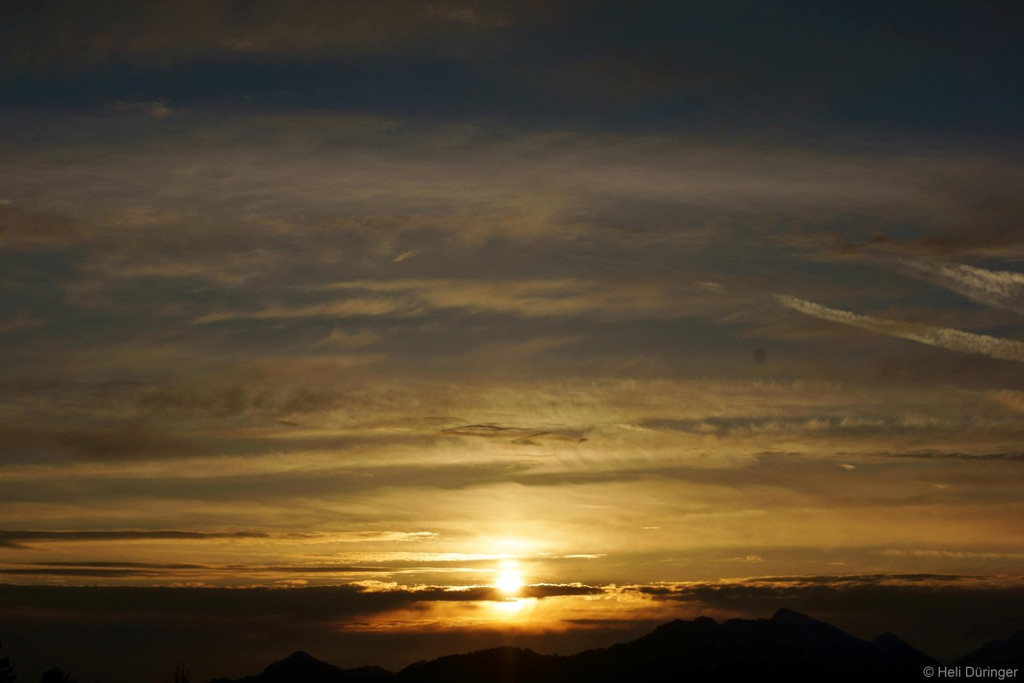DSC05422 _Medium_.JPG
