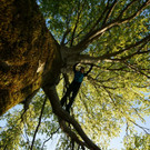 DSC05461 _Medium_.JPG