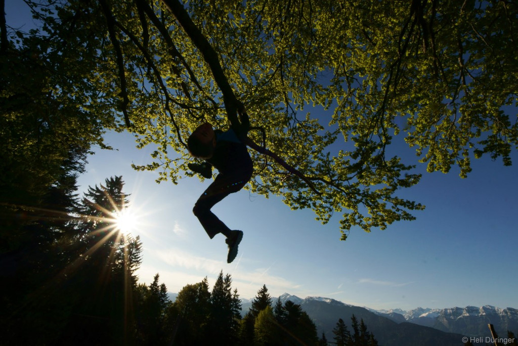 DSC05464 _Medium_.JPG