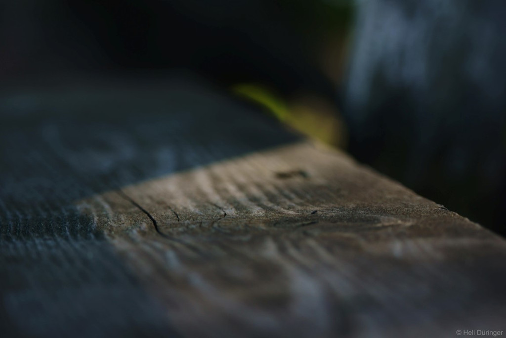 DSC05496 _Medium_.JPG