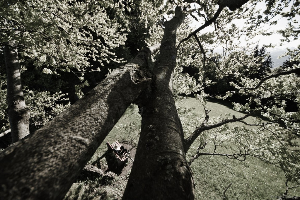 DSC05507 _Medium_.JPG
