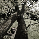 DSC05507 _Medium_.JPG