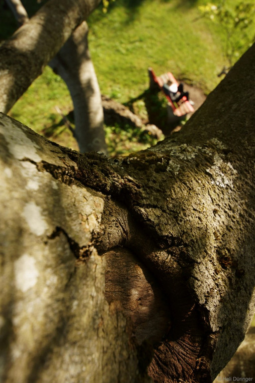 DSC05509 _Medium_.JPG