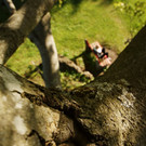 DSC05509 _Medium_.JPG