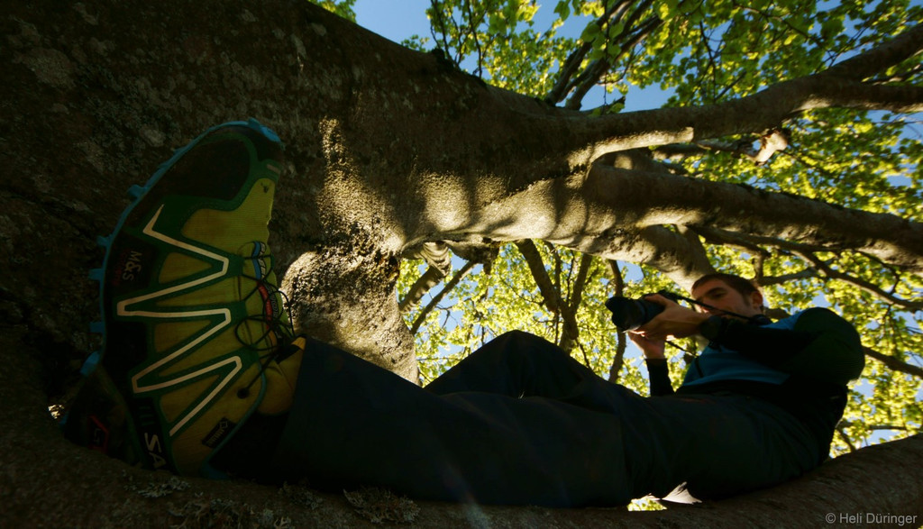 DSC05512 _Medium_.JPG