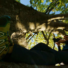 DSC05512 _Medium_.JPG