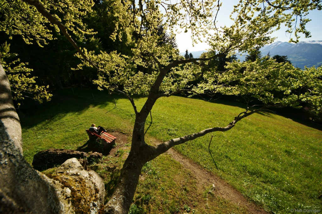 DSC05514 _Medium_.JPG
