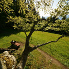 DSC05514 _Medium_.JPG