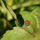 DSC05523 _Medium_.JPG