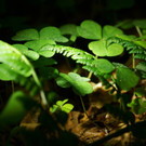 DSC05530 _Medium_.JPG