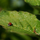 DSC05542 _Medium_.JPG