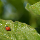 DSC05545 _Medium_.JPG