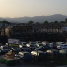 Großbrand in Hard: Der Morgen danach