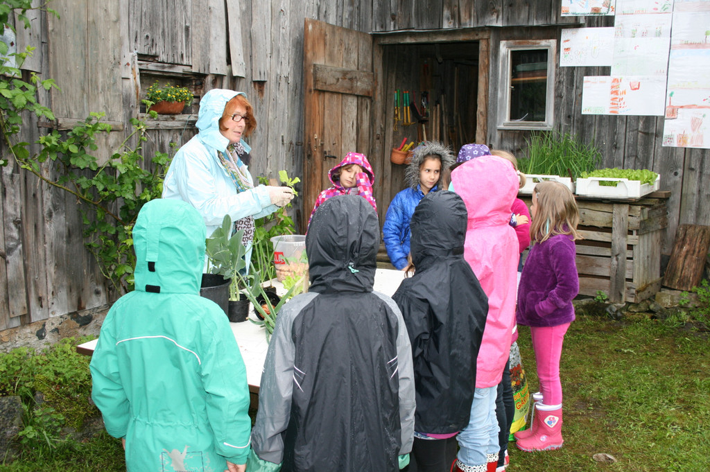 IMG_9572.JPG