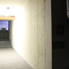IMG_6931.JPG