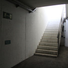 IMG_6935.JPG