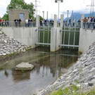 Unbenannt-6.jpg