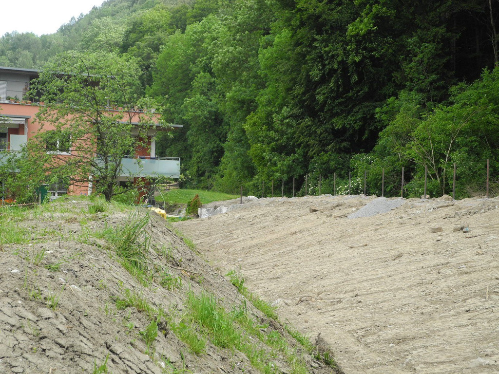 DSCN3208.JPG