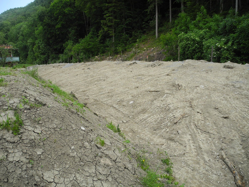 DSCN3209.JPG