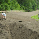 DSCN3217.JPG