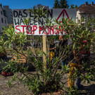 20140524_MIK_WW015 _1_.jpg